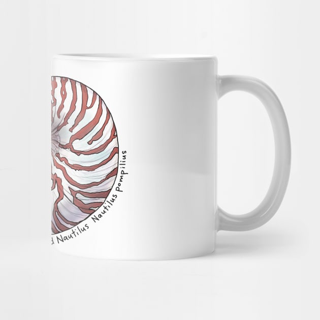 Chambered Nautilus - white by mernstw